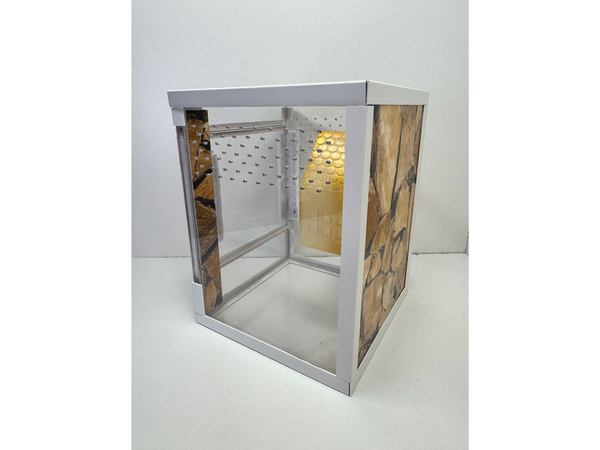 Acrylglasterrarium für Springspinnen und Baumbewohner mit folierter Rückwand in Holzoptik von hinten
