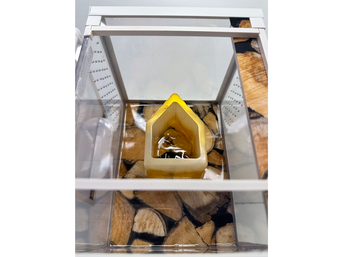 Acrylglasterrarium für Springspinnen mit Versteckmöglichkeit in Holzhüttenoptik Nahaufnahme von innen 