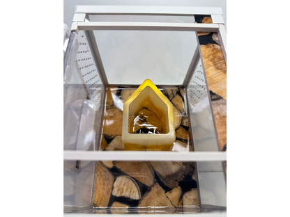 Acrylglasterrarium für Springspinnen mit Versteckmöglichkeit in Holzhüttenoptik Nahaufnahme von innen 