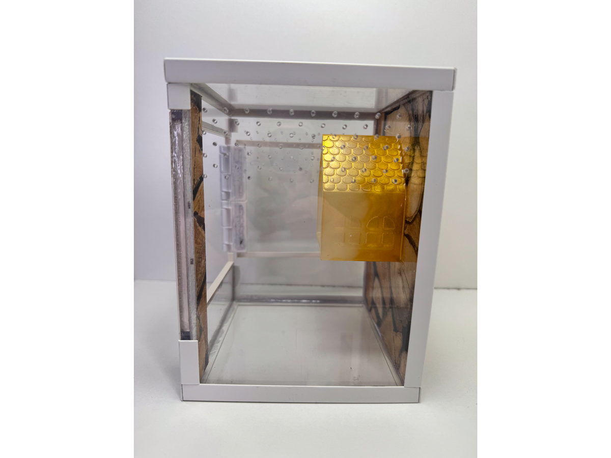 Acrylglasterrarium für Springspinnen und Baumbewohner in Holzoptik und Hütte aus Epoxidharz als Versteckmöglichkeit von der Seite