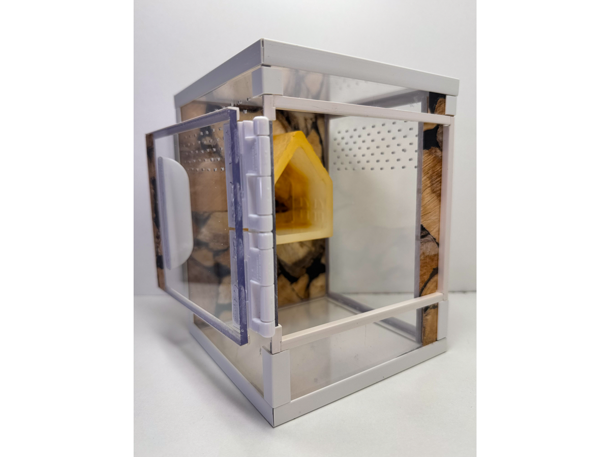 Acrylglasterrarium für Springspinnen und Baumbewohner mit Holzoptik und Versteckmöglichkeit aus Epoxidharz mit geoeffneter Tuer