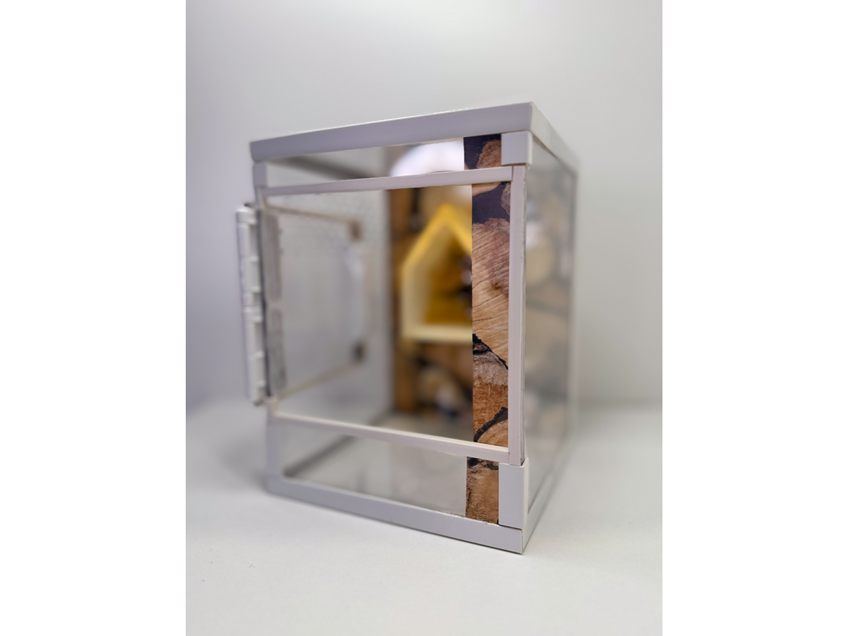 Acrylglasterrarium für Springspinnen und Baumbewohner in Holzoptik mit geoeffneter Tuer von der Seite