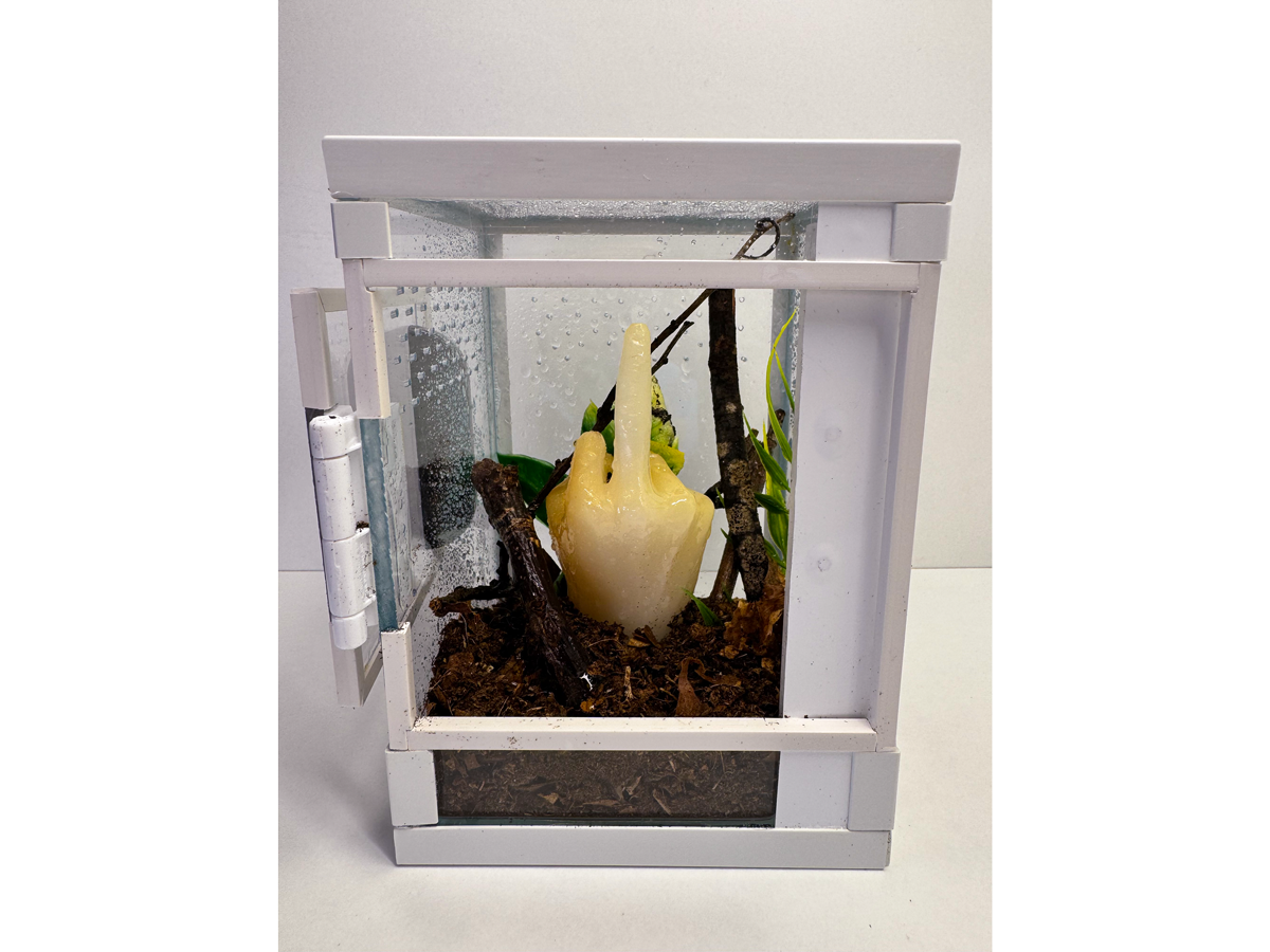 Eingerichtetes Hochterrarium für Baumbewohner