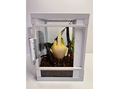 Eingerichtetes Hochterrarium für Baumbewohner