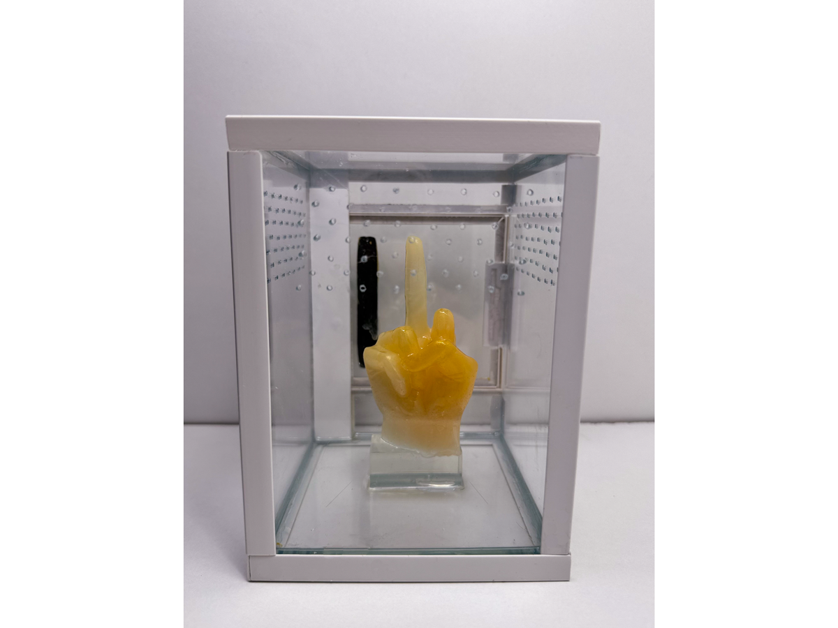 Rückwand eines Hochterrarium für junge Springspinnen und baumbewohnende Vogelspinnen mit Figur aus Epoxidharz 