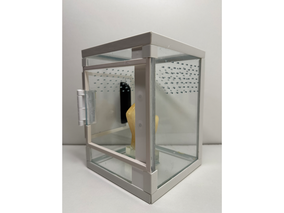 Hochterrarium für junge Springspinnen und baumbewohnende Vogelspinnen mit Mittelfinger Element aus Epoxidharz