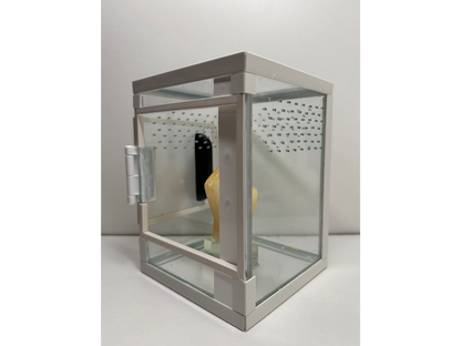 Hochterrarium für junge Springspinnen und baumbewohnende Vogelspinnen mit Mittelfinger Element aus Epoxidharz