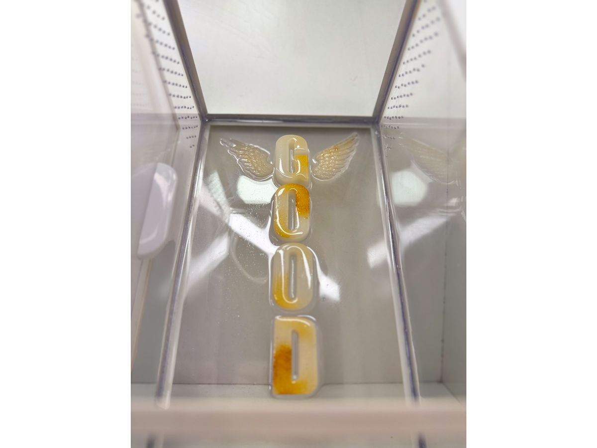 Schriftzug aus Epoxidharz in einem Terrarium für baumbewohnende Spinnen in weiss und gold mit Flügeln