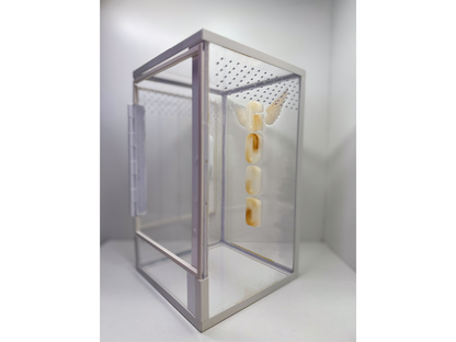 Acrylglasterrarium für baumbewohnende Vogelspinnen und Springspinnen mit weissem Rahmen und Schriftzug aus Epoxidharz von der Seite