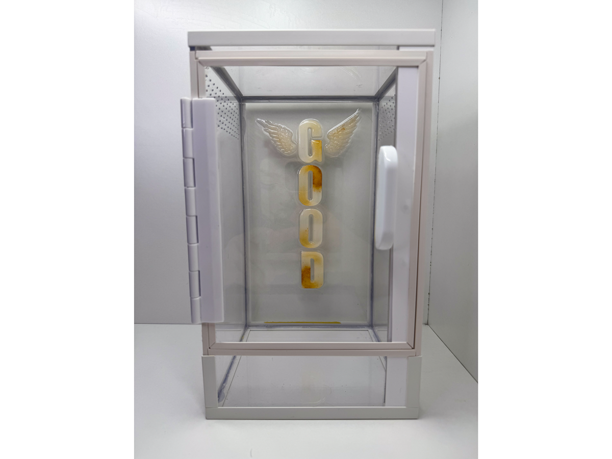 Acrylglasterrarium für baumbewohnende Spinnen mit einem Schriftzug aus Epoxidharz von vorn mit geschlossener Tür