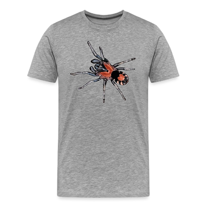 Männer Basic T-Shirt Cyriocosmus elegans - Grau meliert
