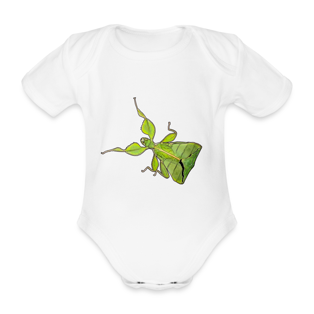 Baby Body kurz Phyllium philippinicum female - weiß