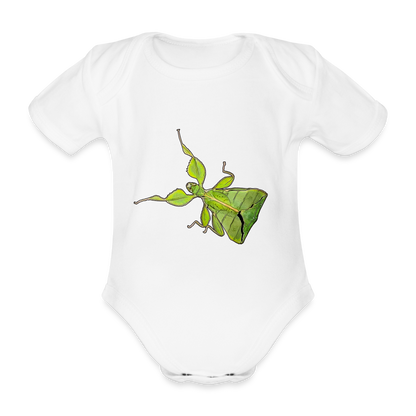 Baby Body kurz Phyllium philippinicum female - weiß