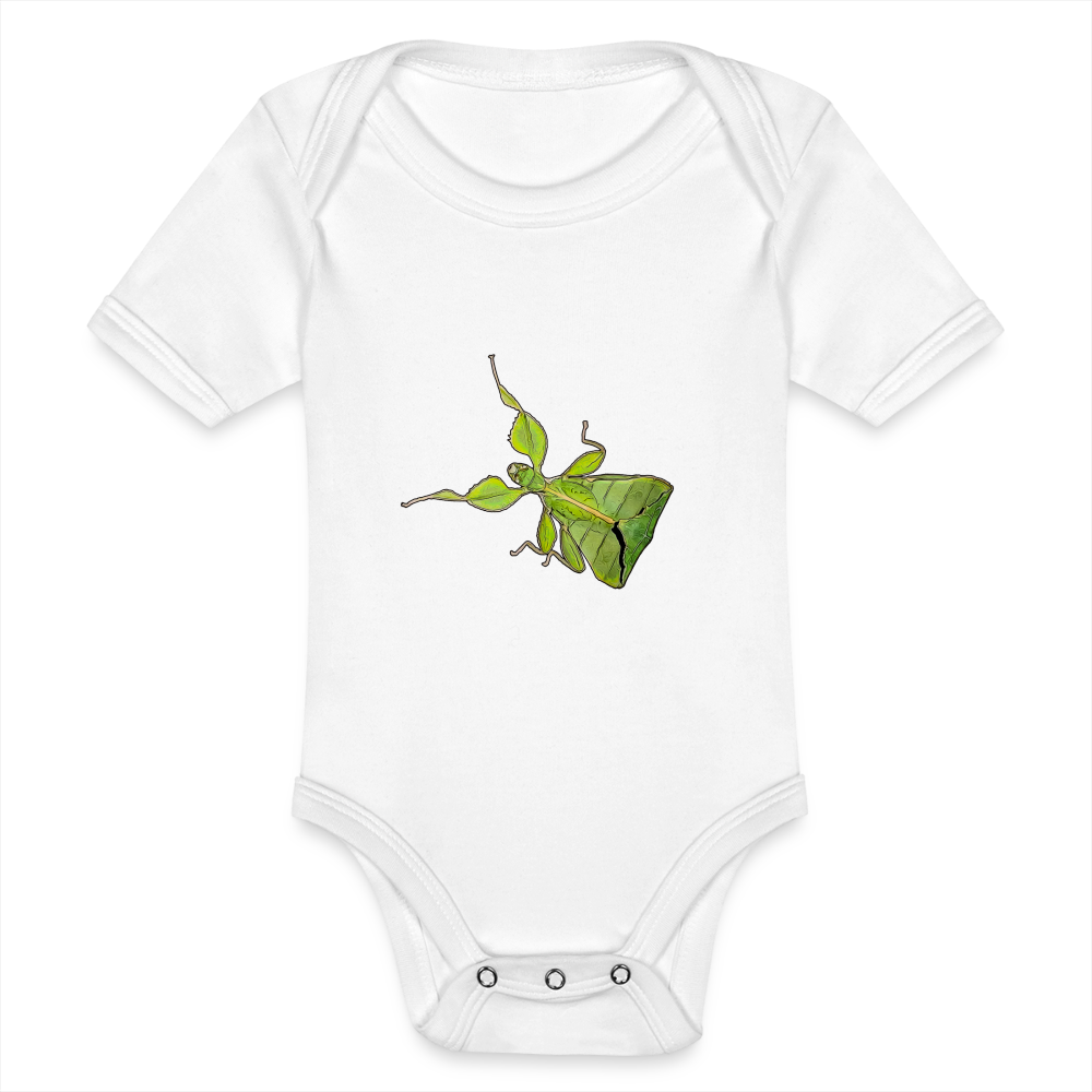 Baby Body kurz Phyllium philippinicum female - weiß