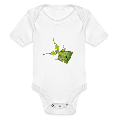 Baby Body kurz Phyllium philippinicum female - weiß