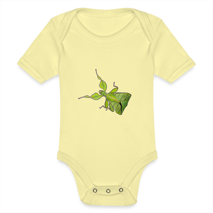 Baby Body kurz Phyllium philippinicum female - Hellgelb