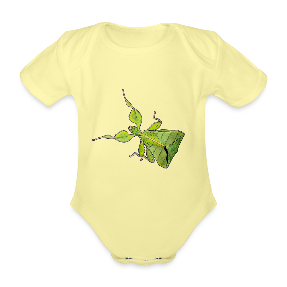 Baby Body kurz Phyllium philippinicum female - Hellgelb