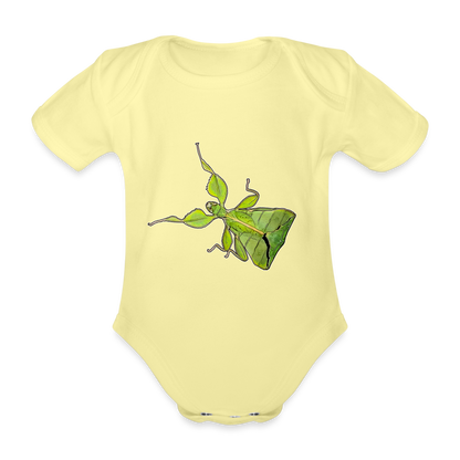 Baby Body kurz Phyllium philippinicum female - Hellgelb