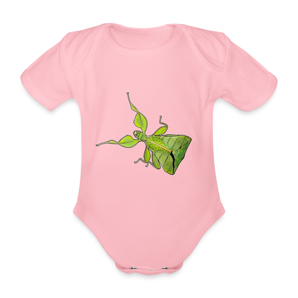 Baby Body kurz Phyllium philippinicum female - Hellrosa