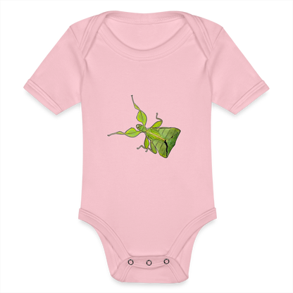 Baby Body kurz Phyllium philippinicum female - Hellrosa