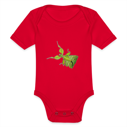 Baby Body kurz Phyllium philippinicum female - Rot