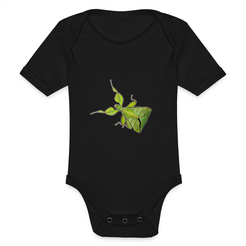 Baby Body kurz Phyllium philippinicum female - Schwarz