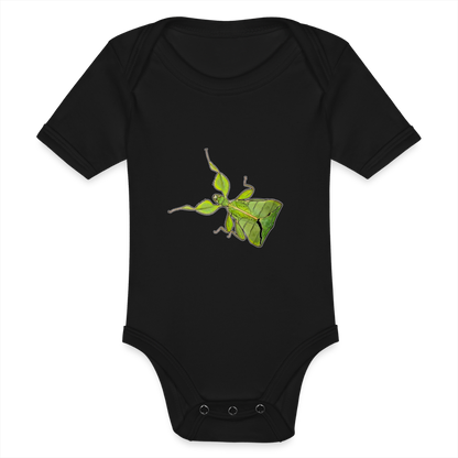 Baby Body kurz Phyllium philippinicum female - Schwarz