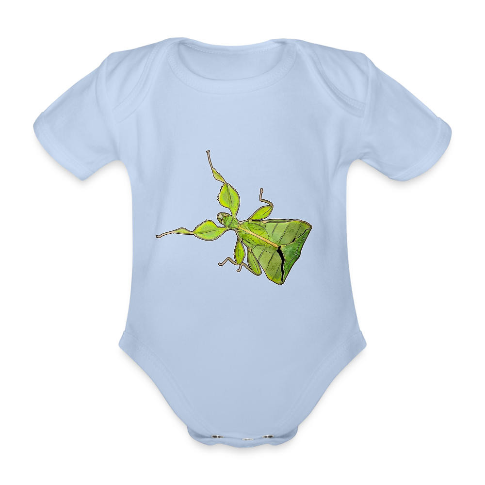 Baby Body kurz Phyllium philippinicum female - Sky
