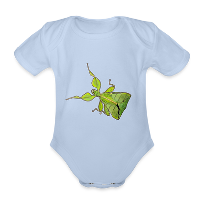 Baby Body kurz Phyllium philippinicum female - Sky