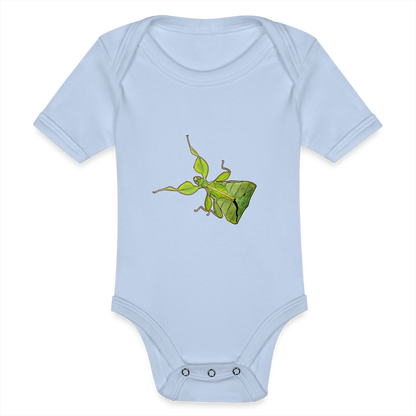 Baby Body kurz Phyllium philippinicum female - Sky