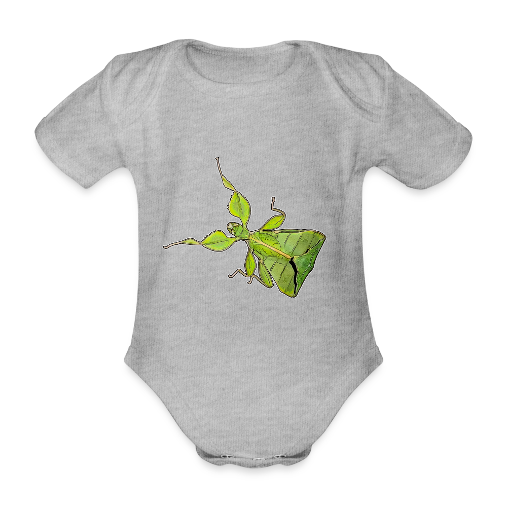 Baby Body kurz Phyllium philippinicum female - Grau meliert