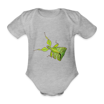 Baby Body kurz Phyllium philippinicum female - Grau meliert