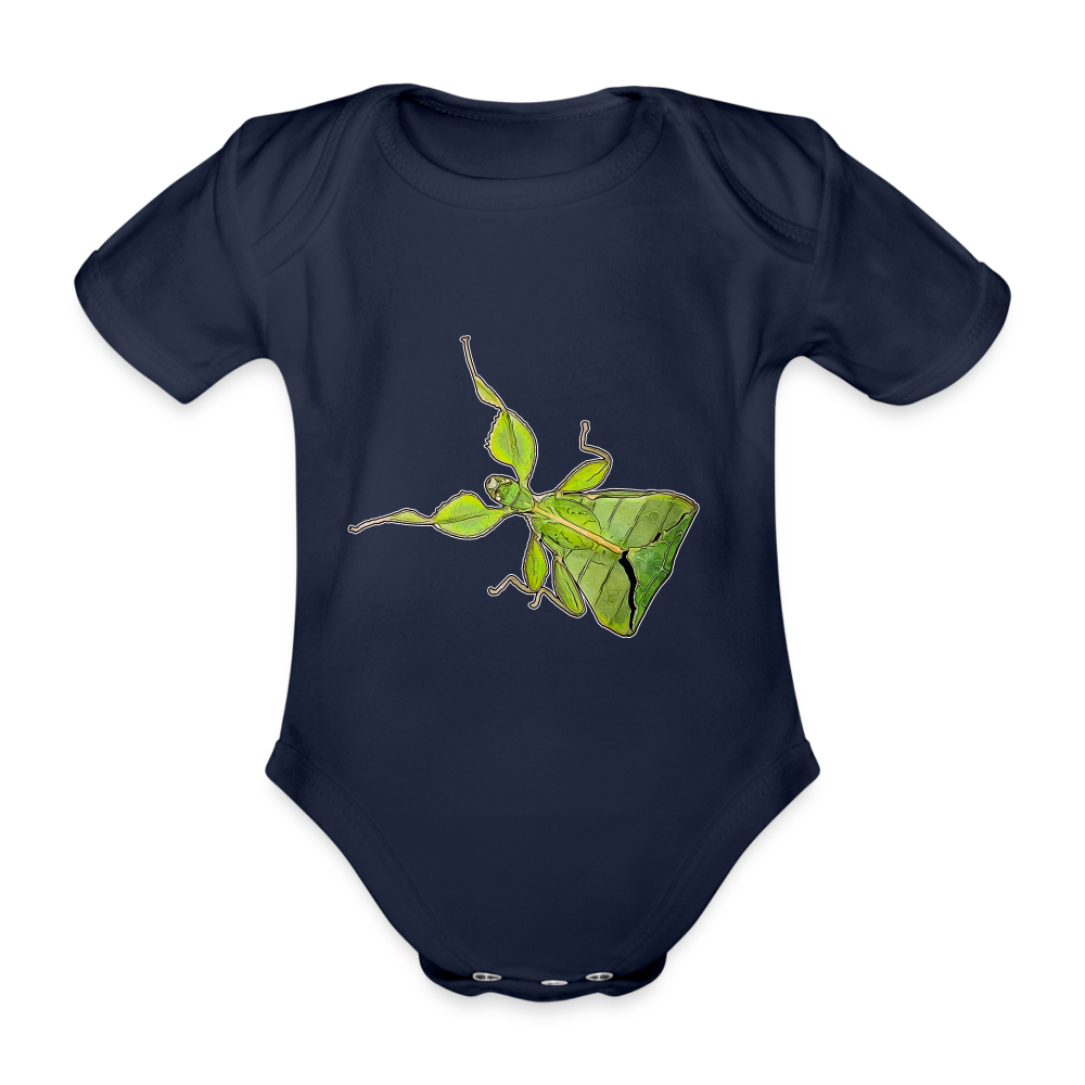 Baby Body kurz Phyllium philippinicum female - Dunkelnavy