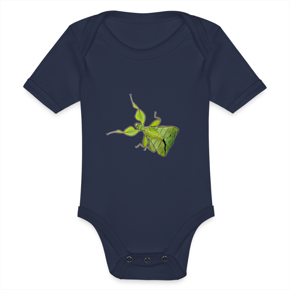 Baby Body kurz Phyllium philippinicum female - Dunkelnavy