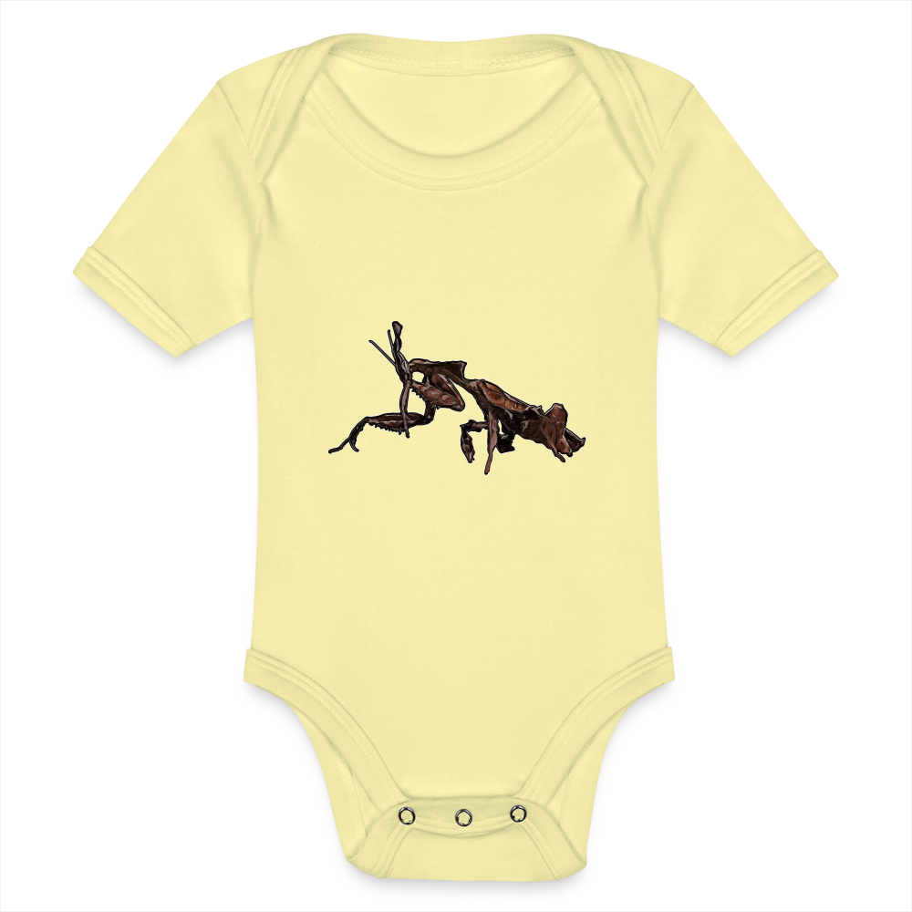 Baby Body kurz Phyllocrania paradoxa female 2 - Hellgelb