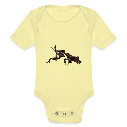 Baby Body kurz Phyllocrania paradoxa female 2 - Hellgelb