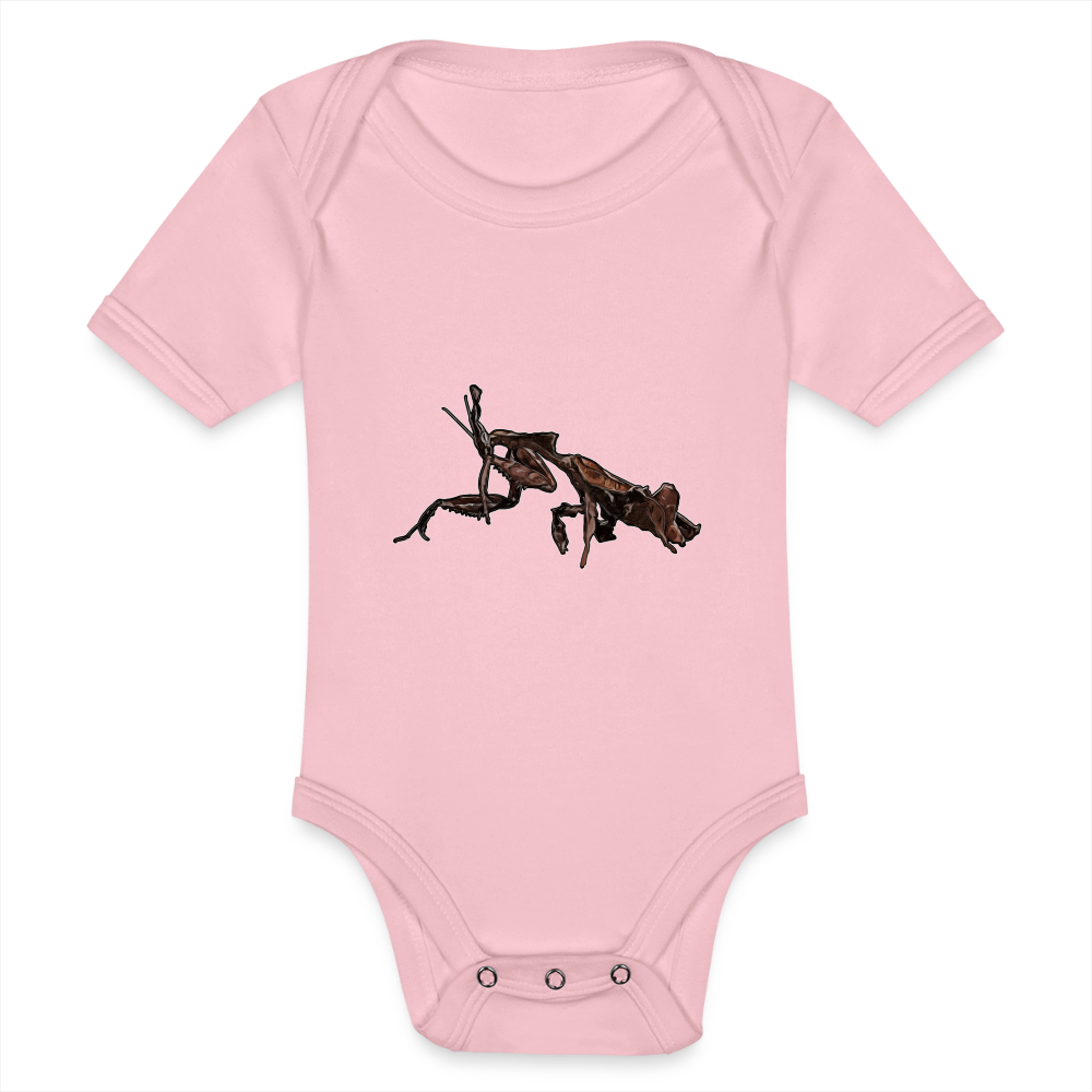 Baby Body kurz Phyllocrania paradoxa female 2 - Hellrosa