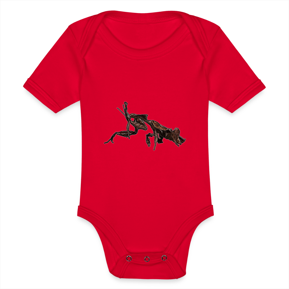 Baby Body kurz Phyllocrania paradoxa female 2 - Rot