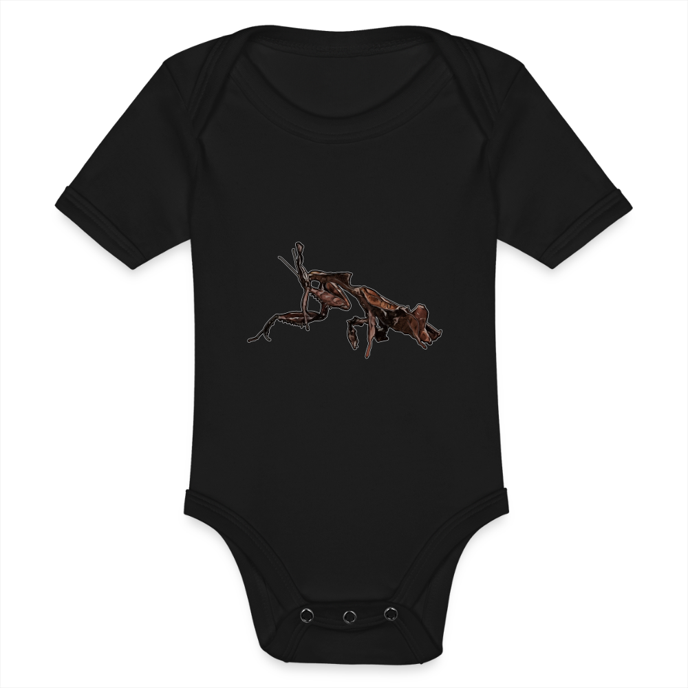 Baby Body kurz Phyllocrania paradoxa female 2 - Schwarz