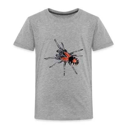 Kinder Basic T-Shirt Cyriocosmus elegans - Grau meliert