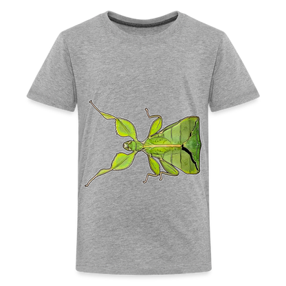 Teenager Basic T-Shirt Phyllium philippinicum female - Grau meliert