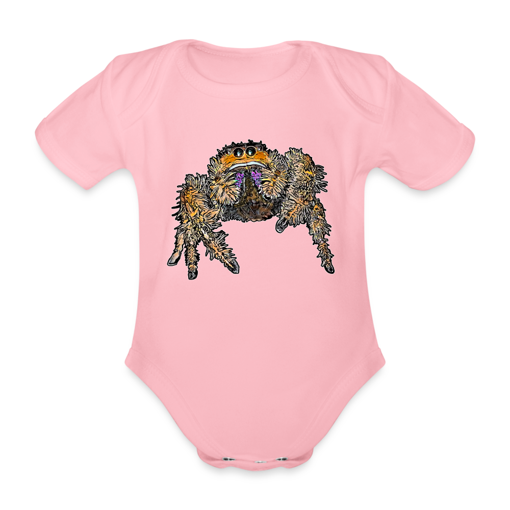 Baby Body kurz Phidippus regius Everglades female - Hellrosa