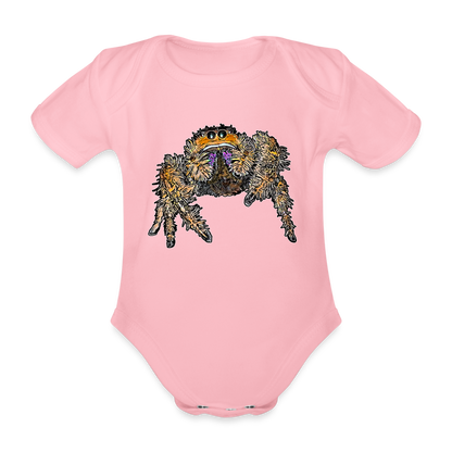 Baby Body kurz Phidippus regius Everglades female - Hellrosa