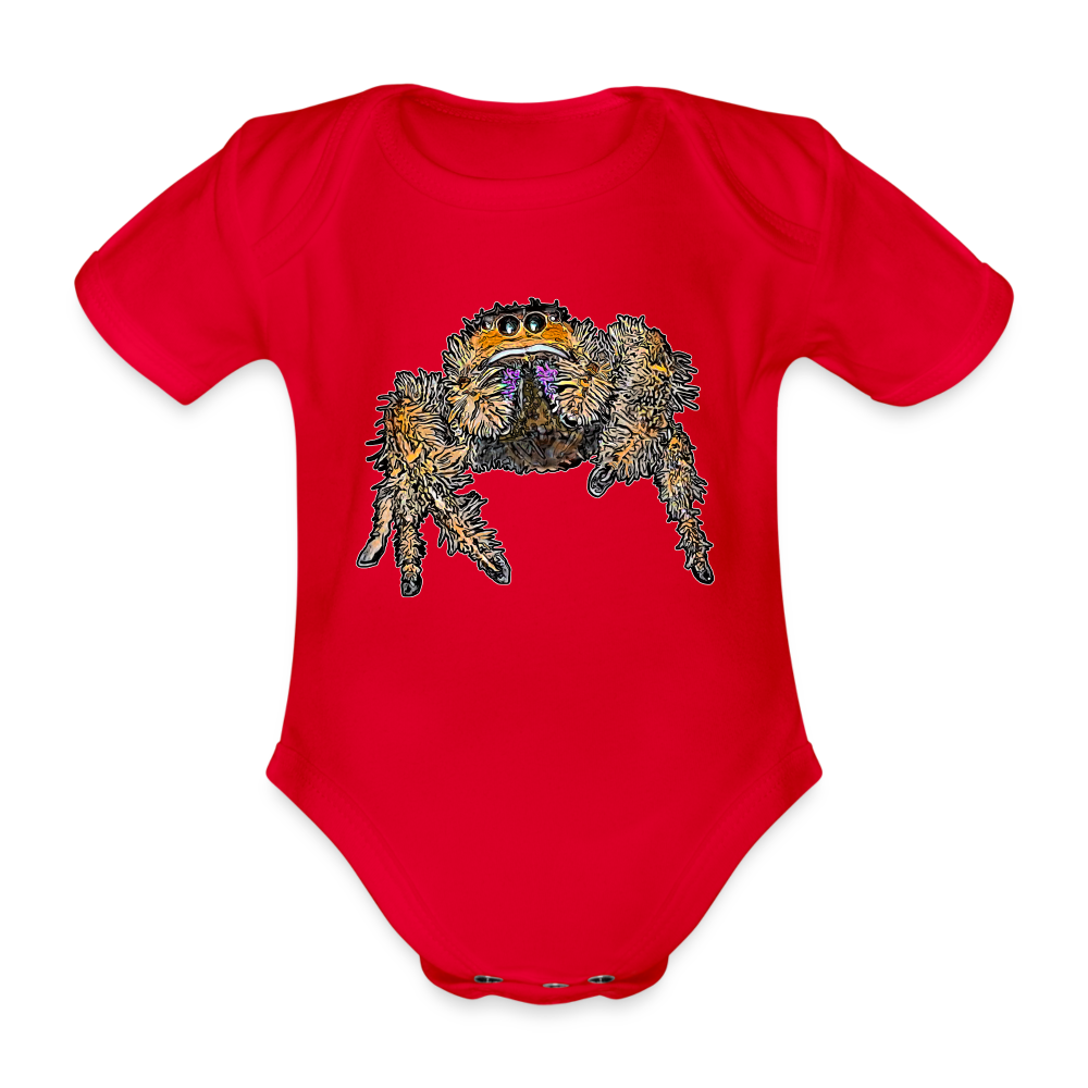 Baby Body kurz Phidippus regius Everglades female - Rot