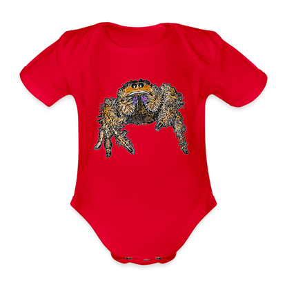 Baby Body kurz Phidippus regius Everglades female - Rot