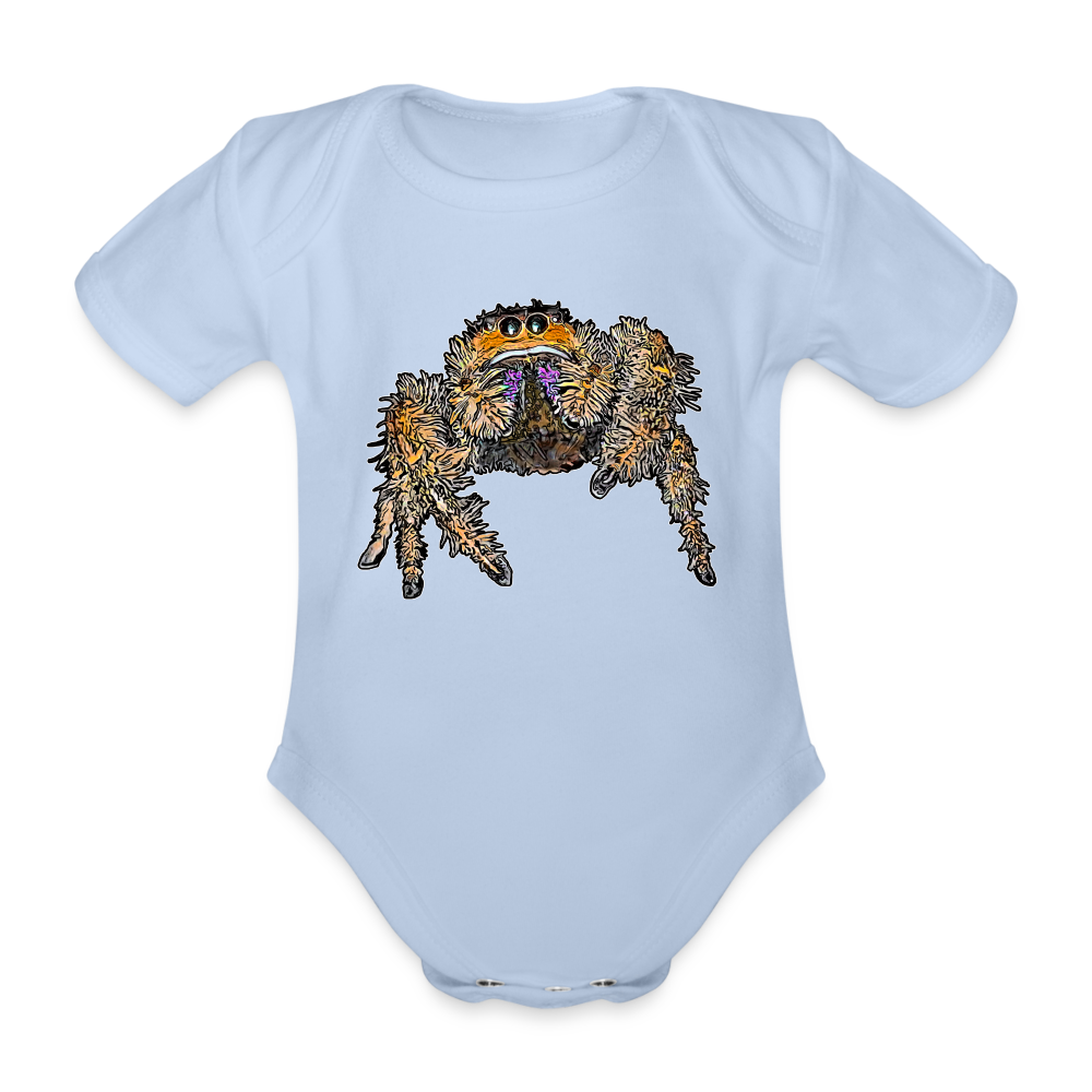 Baby Body kurz Phidippus regius Everglades female - Sky