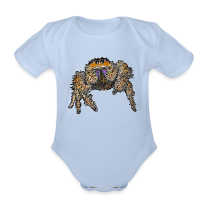 Baby Body kurz Phidippus regius Everglades female - Sky