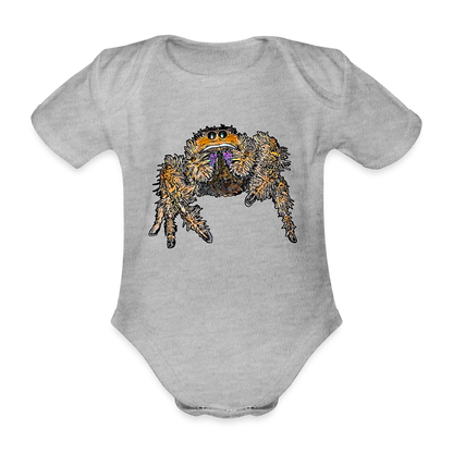 Baby Body kurz Phidippus regius Everglades female - Grau meliert