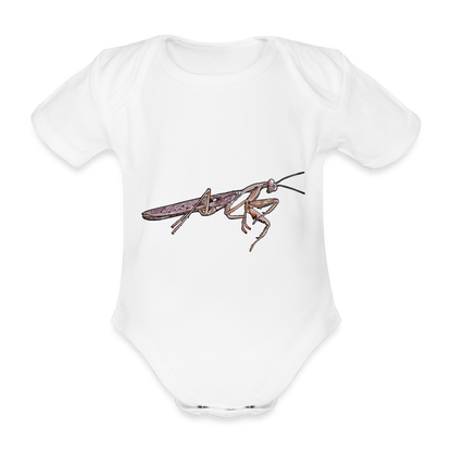 Baby Body kurz Rhombodera kirbyi Male - weiß