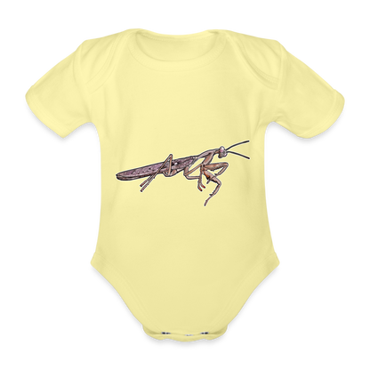 Baby Body kurz Rhombodera kirbyi Male - Hellgelb